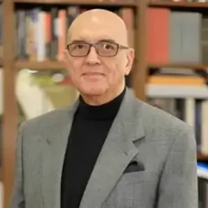 محمد سلماوى